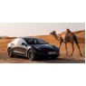 Tesla поділилася рідкісними фотографіями випробувань автомобілів на жаростійкість у Дубаї