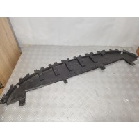 Захист бампера переднього Renault Modus 04-08