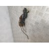 Замок двери передней левой Hyundai  Accent 2005 HYUNDAI ACCENT 1.6 (1998-2005) 8131025030