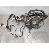проводка торпеди салона 1 NISSAN MICRA K12 (2002-2010)