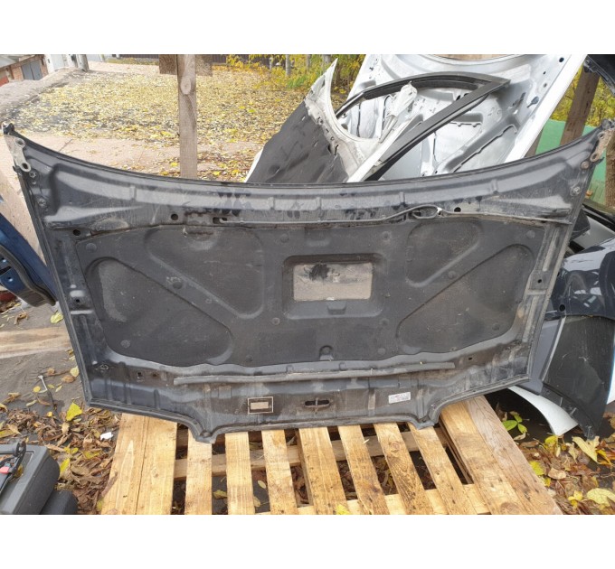 Капот Hyundai Trajet 2000-2006 664003A020