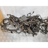 Проводка моторная с блоком 9120026252 HYUNDAI SANTA FE I 2.0 CRDi 2001-2006 Проводка моторная с блоком 9120026252 HYUNDAI SANTA FE I 2.0 CRDi 2001-2006