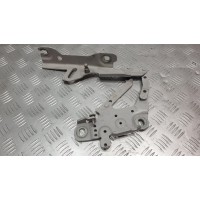 Петля капота правая Bmw 3 F30 2010-2018 13989610