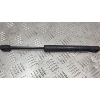 Амортизатор капота BMW 1 F20 f30 f31 2012-2019 5123723923306 Амортизатор капота BMW 1 F20 f30 f31 2012-2019 5123723923306