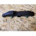 Кріплення бампера переднє праве Hyundai Sonata LF 2.4 2014 86516C2000