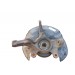 Цапфа (поворотный кулак) передний правый HONDA CR-V 3 2006-2012 51211SWAA00