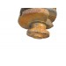 Коленвал 2GR под шлифовку Toyota Camry v40 3.5 2006-2012 1340131041