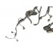 Проводка ДВС Chevrolet Lacetti (J200) 2003-2013  96551392