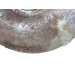 Гидротрансформатор АКПП Mazda CX7 2006-2012 AW1019100