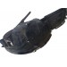 Подкрылок передний правый Subaru Legacy Outback BR 2005-2015 59110AJ021