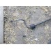 Стабилизатор передний Ford Fiesta MK5 1.3 2002-2008 1219718