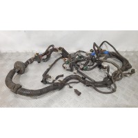 Электро проводка двигателя 1.8 p12 (2002-2007) Nissan primera p12 (2001 - 2007) 24011AV014