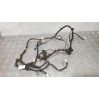 Проводка багажной  двери  Primera p12 (2002-2007) Nissan primera p12 (2001 - 2007) 24051AV001