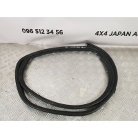 уплотнитель дверного проема задний правый Nissan Qashqai 1.5 (2006-2013) 76923JD000 уплотнитель дверного проема задний правый Nissan Qashqai 1.5 (2006-2013) 76923JD000