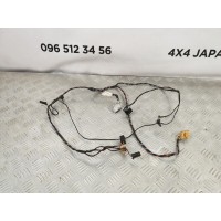 проводка двери передняя левая1 Porsche Cayenne 955 4.5 (2003-2010) 7L5971121
